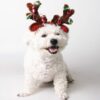 Pet Supplies Puppy Christmas Hat Holiday Jewelry Sequined Antlers