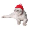 Pet Supplies Puppy Christmas Hat Holiday Woolen Hat