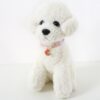 Adjustable Cat Dog Rabbit Safety Buckle Collar Pet Accessories