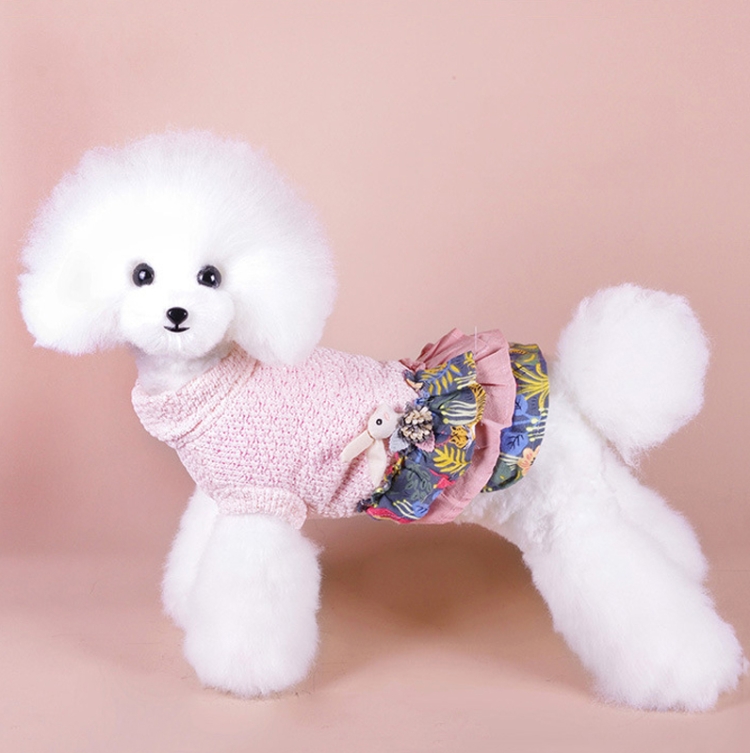 Autumn And Winter Pet Skirt Teddy Bichon Hiromi Schnauzer Yorkshire Small Dog Clothes