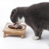 Bamboo And Wood Ceramic Cat Bowl Pet Supplies