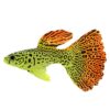 Simulation Luminous Tropical Fish Tank Landscaping Fake Decorations