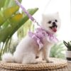 Pet Lace Vest Clothes Harness Leash, Size:
