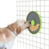 Multi-functional Card Dog Cage Licking Plate Suction Cup Dog Feeder