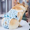 Dog Menstrual Pants Anti-harassment Menstrual Washable Sanitary Pants