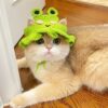 Pet Headgear Props Cats And Dogs Knitted Hat Headwear