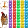 Chicken Leg Rings With Numbered  For Ducks Chicks Guinea Pigeons Goose