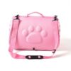 Cats and Dogs Go Out Portable Breathable Foldable EVA Pet Bag