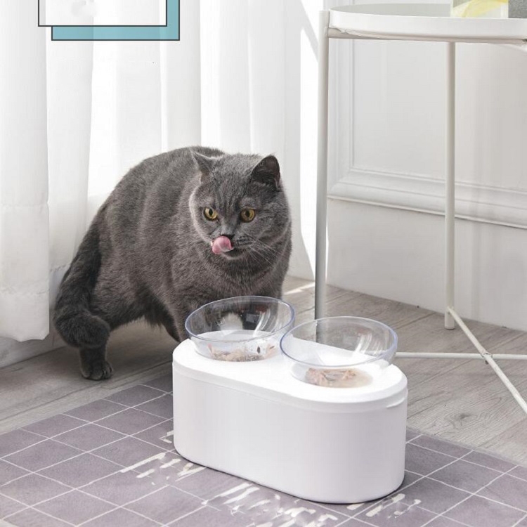 Transparent Pet Bowl Grain Storage Type Neck Protector Oblique Double Bowl