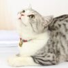 Cat Bell Collar Handmade Dog Cat Accessories Neck Collar