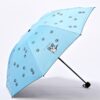 Cartoon Creative Children Umbrella Sunscreen Vinyl Small Fresh Folding Umbrella, Sky Blue, Purple, Pink, Navy