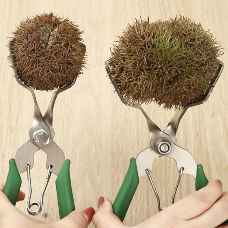 Stainless Steel Chestnut Clip Chestnut Sheller Opener