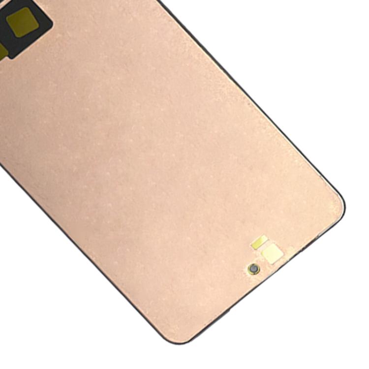 SPS9598_3.jpg