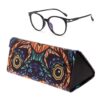 Foldable Triangle Animal Print Glasses Case Sunglasses Myopia Frame Case