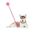 Dog Training Device Pet Behavior Correction Tool