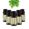 5 Bottles 10ml Hydrating Moisturizing Essential Oil Herbal Body Complex Nourishing Massage Toning Essential Oil