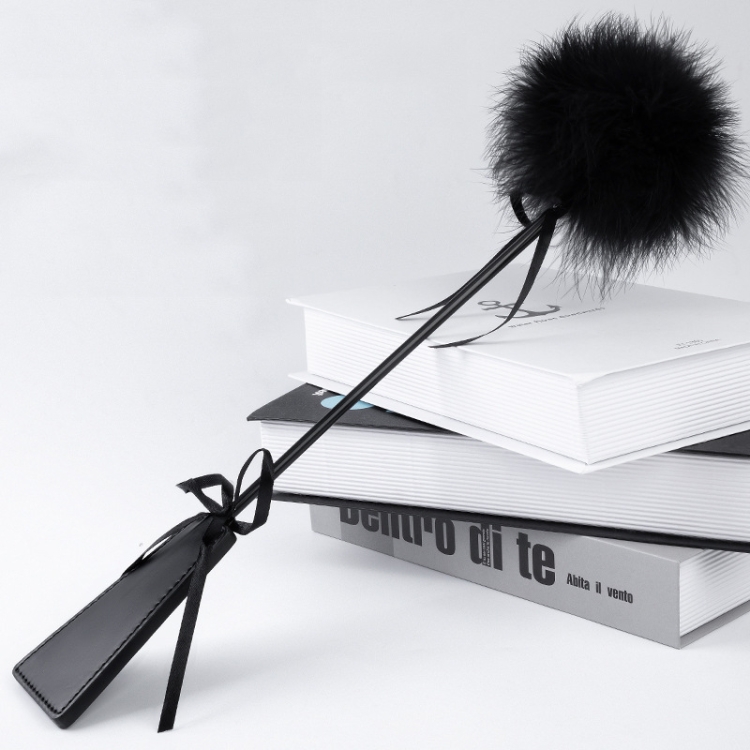 Feather Pat Erotic Flirting Teasing Bondage SM Toys