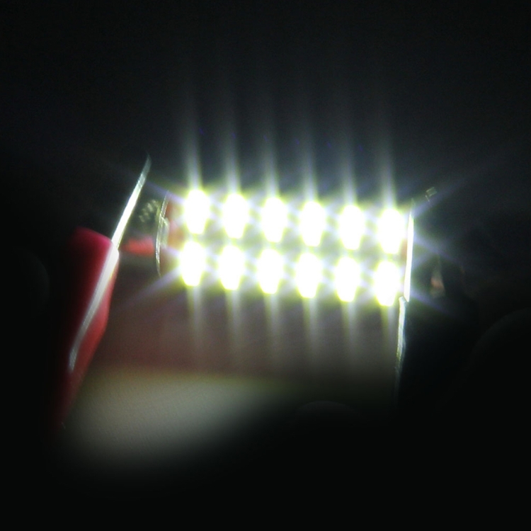 CMS0096WL_4.jpg