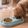 Stainless Steel Dog and Cat Double Bowl Automatic Waterer Not Wet Mouth Pet Food Bowl