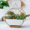 Simple Octagonal Geometric Wall Hanging Table Succulent Platter Bamboo Support Iron Frame Flower Pot