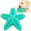 Starfish Voice Pet Dog Toy Molar Stick Leaking Food Dog Toothbrush