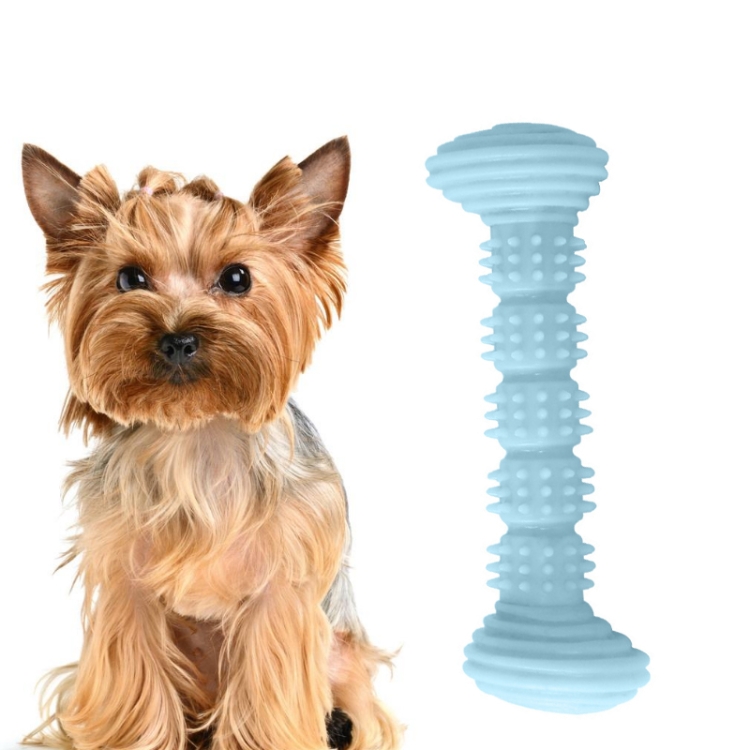 Pet TPR Molar Toy Chew Dog Toothbrush Toy Clean Teeth Molar Tease Dog Stick
