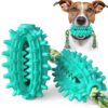 Dog Toy With Rope Prickly Pear Molar Stick Dog Toothbrush