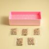 Hydroponic Cats Grass Box Snacks Hydroponic Soilless Growing Cats Grass Pot Set
