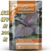 MARSEED 200pcs /Pack Perilla Seeds Edible Planting Seedlings Seasonal Seeds, Package Random Delivery