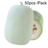 Pink Peel Big Chinese Wax Gourd Seeds Vegetable Fruit Winter Melon Seeds, Package Color Random