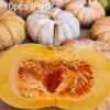 Grinder Shape Large Pumpkin Seeds Giant High Yield Sweet Flavored Pumpkin Seeds, Package Color Random