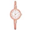 Lvpai Ladies Retro Round Large Dial Alloy Twisted Thin Chain Watch