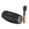 Zealot S87M 80W Portable Outdoor RGB Bluetooth Speaker with Microphone
