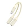 60W 2 in 1 Type-C to Dual Type-C Audio Adapter