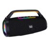 T&G TG417 40W Portable Outdoor Bass Dual Microphone Wireless Bluetooth Speaker