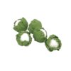 15 PCS / 3 Packs 1:12 Mini Doll House Miniature Kitchen Scene Decoration Green Cabbage, Green Cabbage