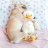 Hoopet Dog Biting Toy Pet Plush Duckling Sound Toy, Small