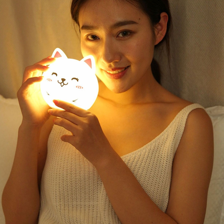 LED1012F_8.jpg