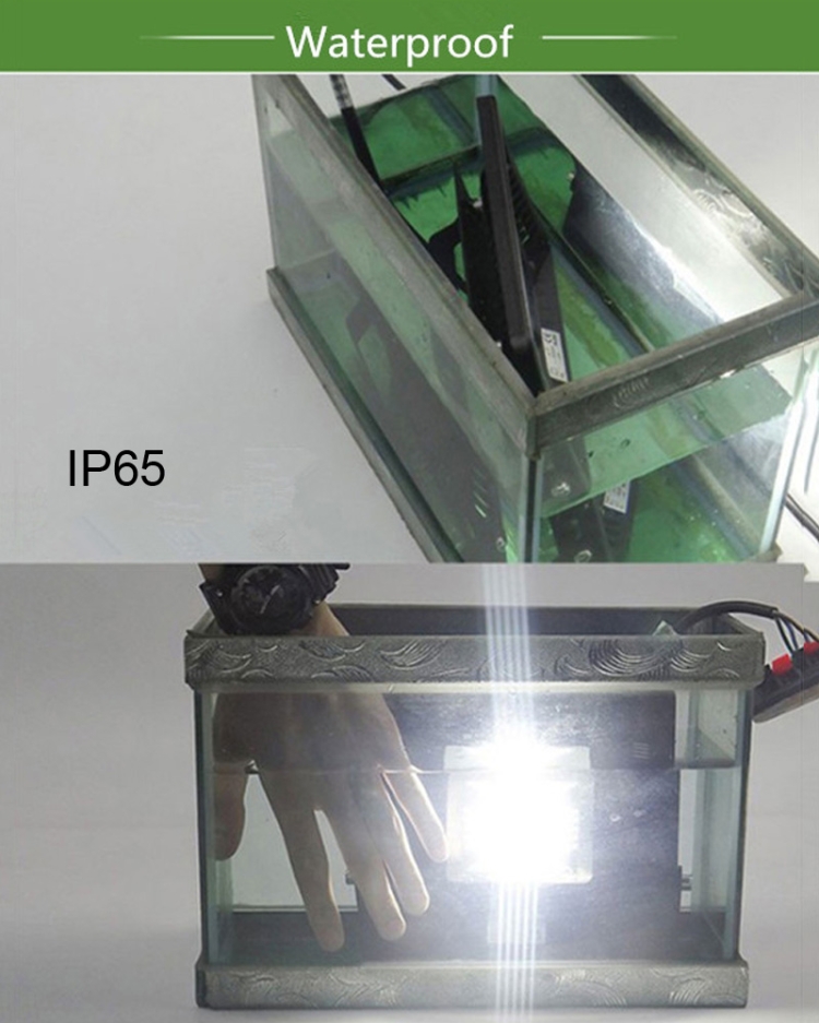 LED1566_10.jpg