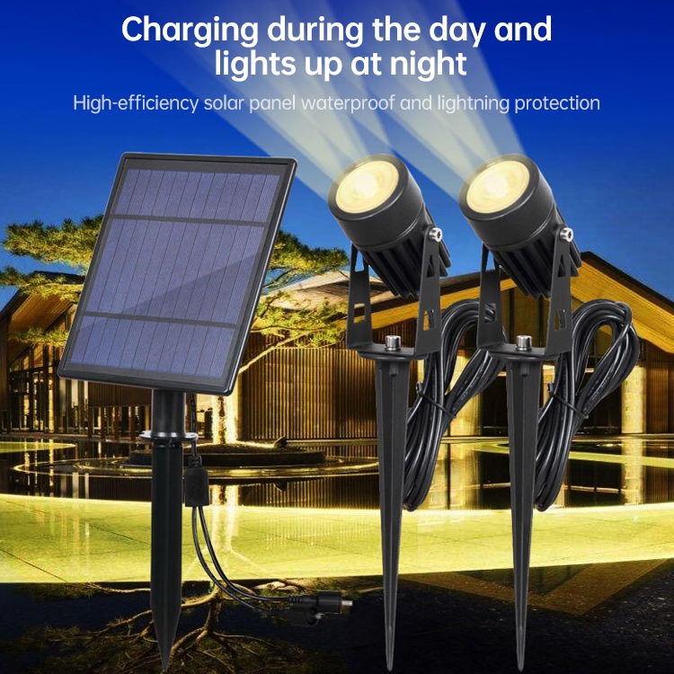 LED2182_8.jpg
