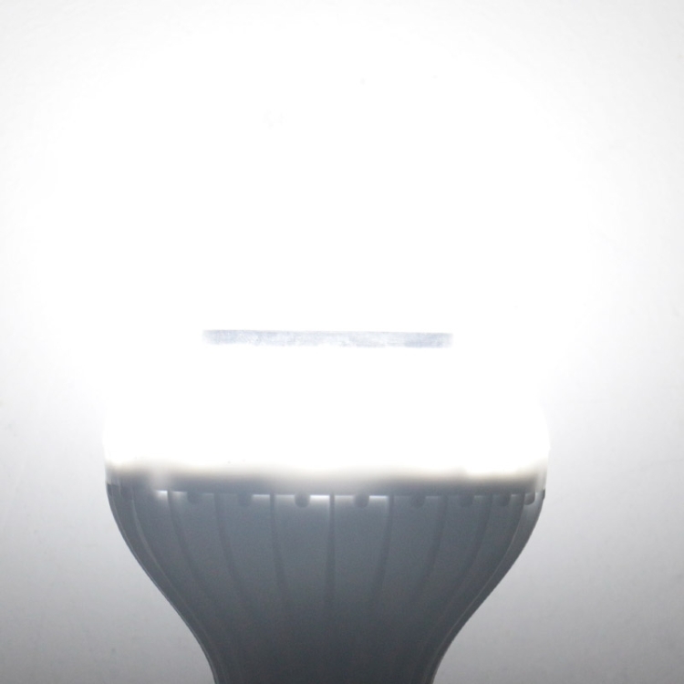 S-LED-2453_7.jpg