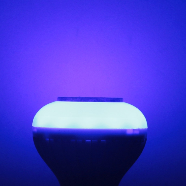 S-LED-2453_8.jpg