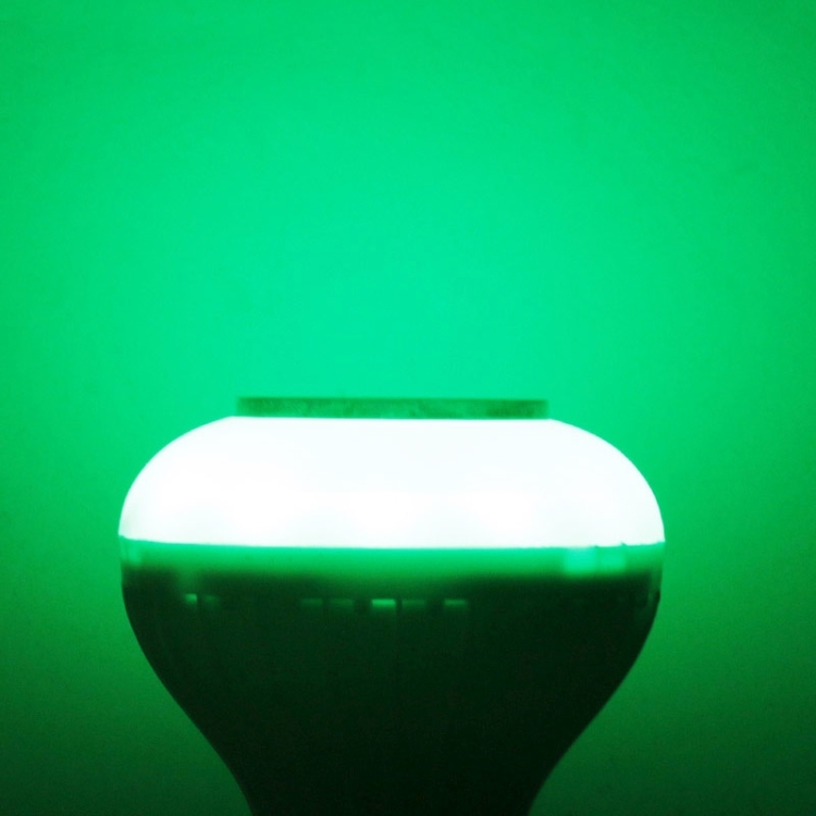 S-LED-2453_9.jpg