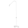 HD-AL10 UV Manicure Eyelash Beauty Floor Lamp Focus Adjustment Touch Dimming with Foot Switch, US Plug, UK Plug, EU Plug, AU Plug