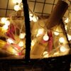LED Waterproof Ball Light String Festival Indoor and Outdoor Decoration, Warm White 20 LEDs -Battery Power, Colorful 20 LEDs -Battery Power, White 20 LEDs -Battery Power, Warm White 30 LEDs -Battery Power, Colorful 30 LEDs -Battery Power...