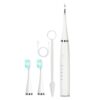 Electric Dental Scaler Accessories Replacement Head, White Basic, White Exclusive, Black Basic, Black Exclusive, Green Basic, Green Exclusive, 5pcs Toothbrush Head White, 5pcs Toothbrush Head Black, 5pcs Toothbrush Head Green