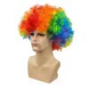 Colorful Afro Wig for Adults & Kids Rainbow Clown Wig for Cosplay Party Funny Curly Disco Wig Costume Accessories
