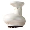 Electric Scraping Instrument Meridian Dredging Massage Cupping Instrument