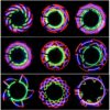 Bike Cycling Bicycle Tire Valve 32 Led Flash Spoke Wheel Light, 32 LED Wheel Light