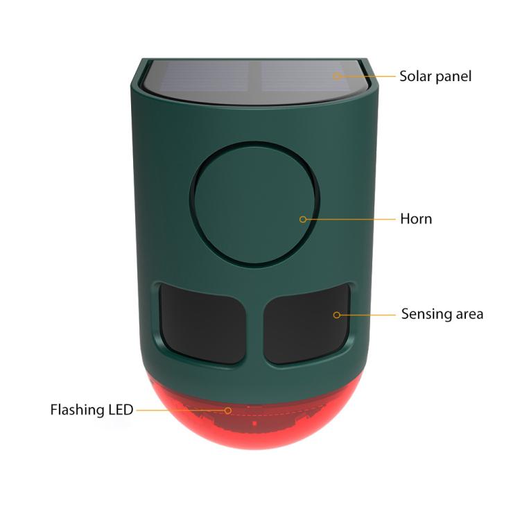 EDA008589601A_1.jpg